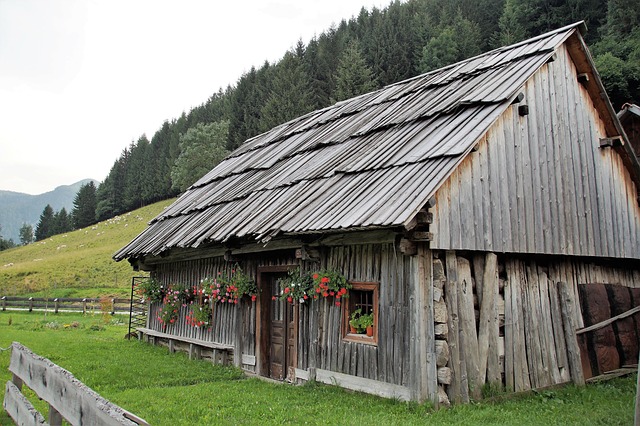 dům ze dřeva